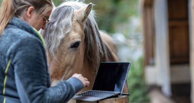Strangles survey seeks views of horse owners